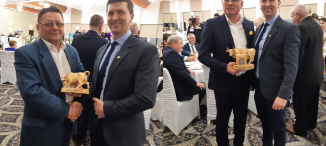 Simbolul rasei Bălțată românească Simbolul rasei Bălțată românească