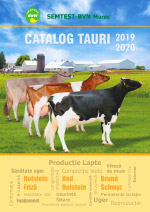 Catalog tauri Semtest-BVN 2019 Holstein