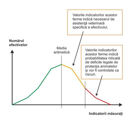 frecventa bolilor conditii intretinere furajare