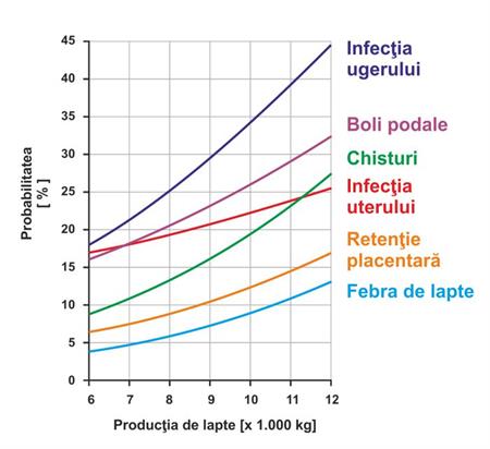 sanatatea animalelor incidenta bolilor productie