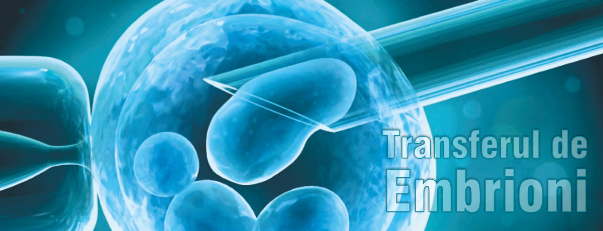 Transfer embrioni Semtest-BVN