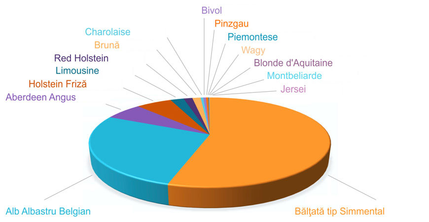 Structura rase tauri semtest-bvn