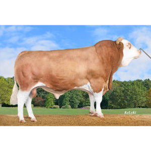 HURLY-ET RO 55131