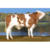 MYHOME-Pp RO 55950