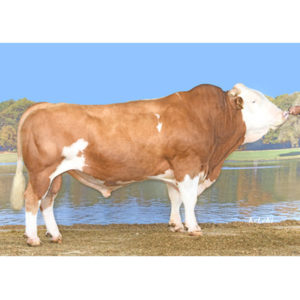 VILLEROY RO 54867