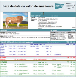 Fisa Taur WINDSPIEL ET semtect BVN