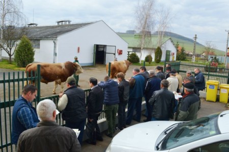 Organizaţia Naţională de Însămânţări Artificiale Organizaţia Naţională de Însămânţări Artificiale