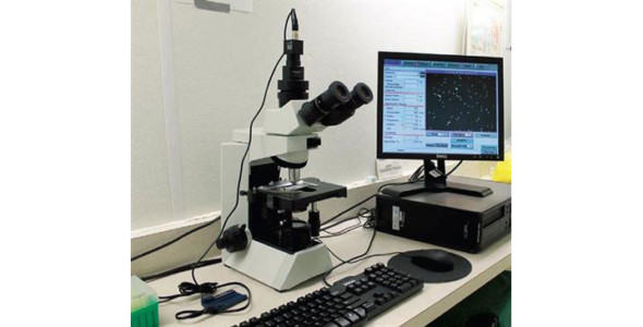 Materialul seminal de vier testat