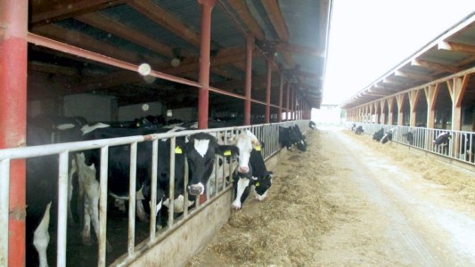 Facem Consultanţă pentru Performanţă! Facem Consultanţă pentru Performanţă!