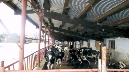 Facem Consultanţă pentru Performanţă! Facem Consultanţă pentru Performanţă!