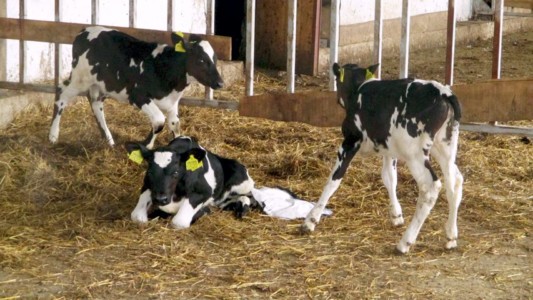 Facem Consultanţă pentru Performanţă! Facem Consultanţă pentru Performanţă!