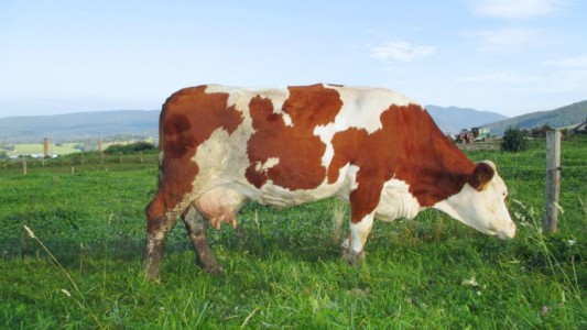 Facem Consultanţă pentru Performanţă! Facem Consultanţă pentru Performanţă!