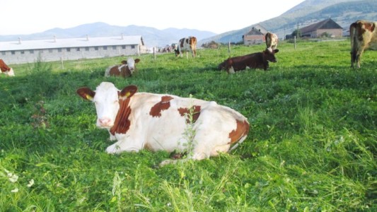 Facem Consultanţă pentru Performanţă! Facem Consultanţă pentru Performanţă!