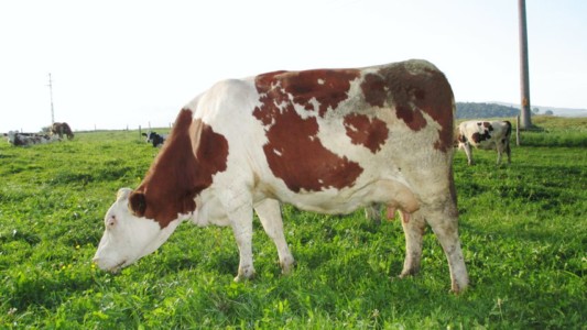 Facem Consultanţă pentru Performanţă! Facem Consultanţă pentru Performanţă!