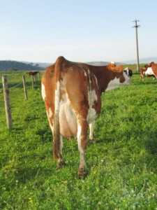 Facem Consultanţă pentru Performanţă! Facem Consultanţă pentru Performanţă!