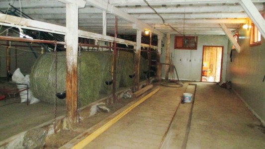 Facem Consultanţă pentru Performanţă! Facem Consultanţă pentru Performanţă!