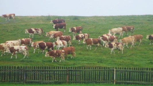 Facem Consultanţă pentru Performanţă! Facem Consultanţă pentru Performanţă!