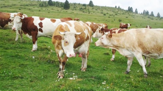 Facem Consultanţă pentru Performanţă! Facem Consultanţă pentru Performanţă!