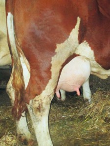 Facem Consultanţă pentru Performanţă! Facem Consultanţă pentru Performanţă!