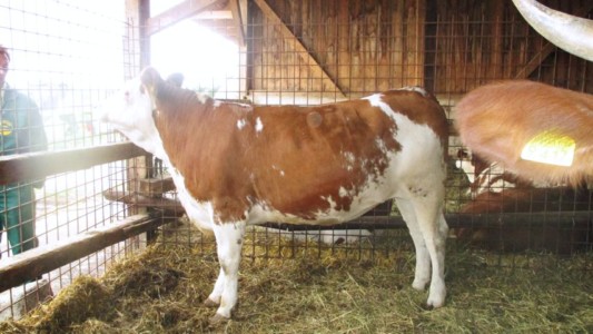 Facem Consultanţă pentru Performanţă! Facem Consultanţă pentru Performanţă!