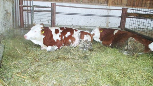 Facem Consultanţă pentru Performanţă! Facem Consultanţă pentru Performanţă!