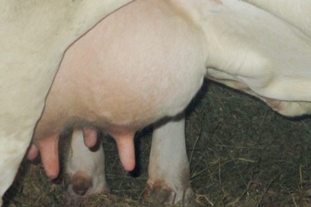 Facem Consultanţă pentru Performanţă! Facem Consultanţă pentru Performanţă!