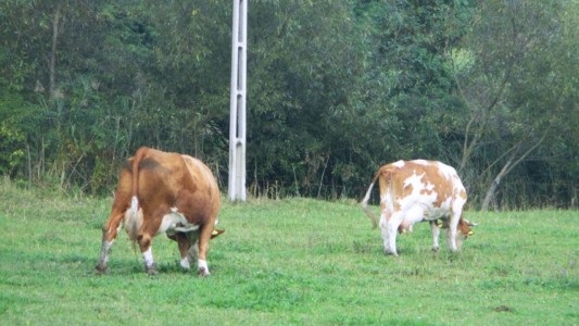 Facem Consultanţă pentru Performanţă! Facem Consultanţă pentru Performanţă!