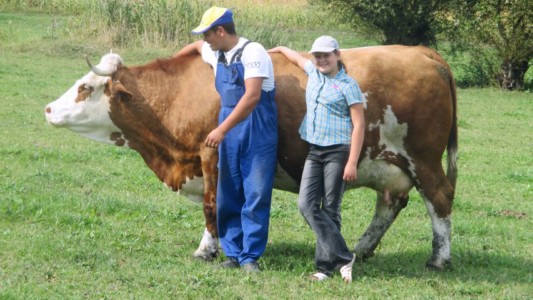 Facem Consultanţă pentru Performanţă! Facem Consultanţă pentru Performanţă!