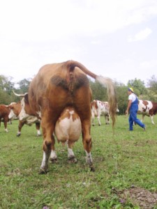 Facem Consultanţă pentru Performanţă! Facem Consultanţă pentru Performanţă!