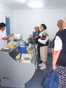 Facem Consultanţă pentru Performanţă! Facem Consultanţă pentru Performanţă!