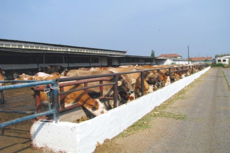 Facem Consultanţă pentru Performanţă! Facem Consultanţă pentru Performanţă!