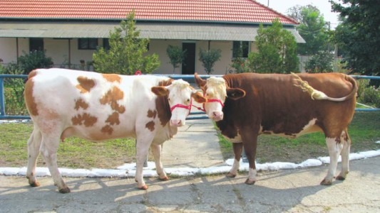 Facem Consultanţă pentru Performanţă! Facem Consultanţă pentru Performanţă!