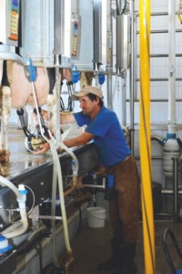 Facem Consultanţă pentru Performanţă! Facem Consultanţă pentru Performanţă!