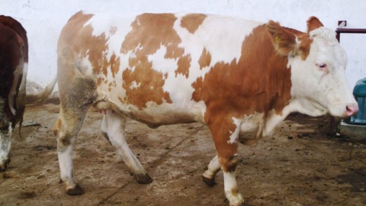 Facem Consultanţă pentru Performanţă! Facem Consultanţă pentru Performanţă!