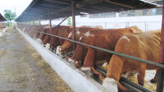 Facem Consultanţă pentru Performanţă! Facem Consultanţă pentru Performanţă!