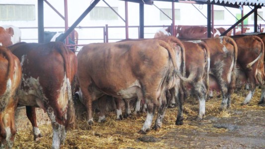 Facem Consultanţă pentru Performanţă! Facem Consultanţă pentru Performanţă!