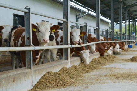 Facem Consultanţă pentru Performanţă! Facem Consultanţă pentru Performanţă!