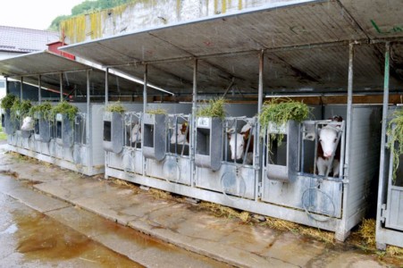 Facem Consultanţă pentru Performanţă! Facem Consultanţă pentru Performanţă!