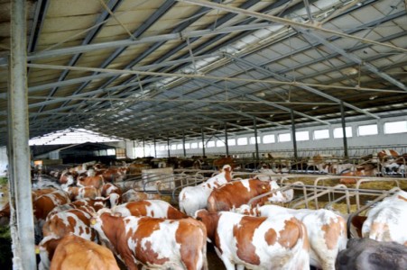 Facem Consultanţă pentru Performanţă! Facem Consultanţă pentru Performanţă!