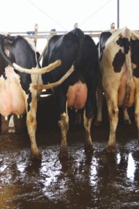 Facem Consultanţă pentru Performanţă! Facem Consultanţă pentru Performanţă!