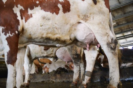 Facem Consultanţă pentru Performanţă! Facem Consultanţă pentru Performanţă!