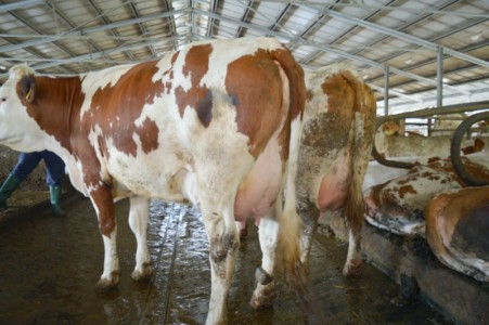 Facem Consultanţă pentru Performanţă! Facem Consultanţă pentru Performanţă!