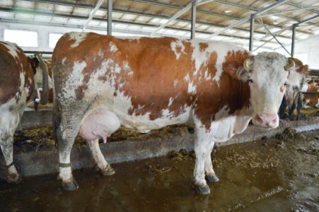 Facem Consultanţă pentru Performanţă! Facem Consultanţă pentru Performanţă!