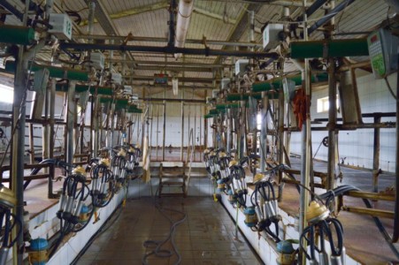 Facem Consultanţă pentru Performanţă! Facem Consultanţă pentru Performanţă!