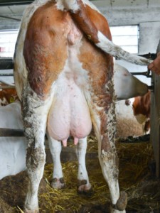 Facem Consultanţă pentru Performanţă! Facem Consultanţă pentru Performanţă!