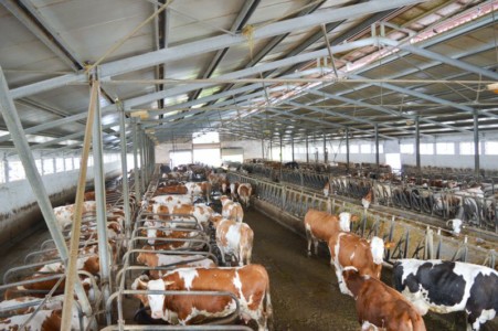 Facem Consultanţă pentru Performanţă! Facem Consultanţă pentru Performanţă!