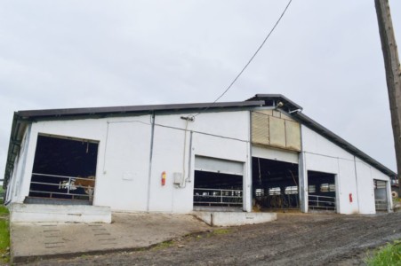 Facem Consultanţă pentru Performanţă! Facem Consultanţă pentru Performanţă!