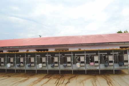 Facem Consultanţă pentru Performanţă! Facem Consultanţă pentru Performanţă!