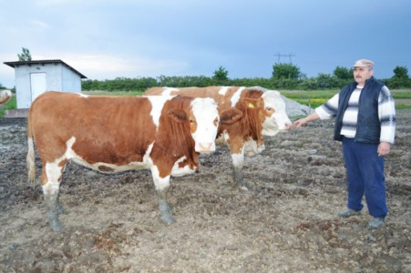 Facem Consultanţă pentru Performanţă! Facem Consultanţă pentru Performanţă!