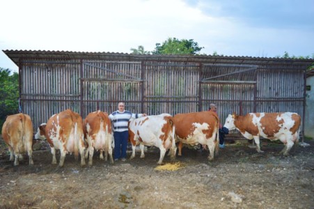 Facem Consultanţă pentru Performanţă! Facem Consultanţă pentru Performanţă!